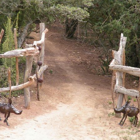 Addo Dung Beetle Guest Farm Villa Exterior photo