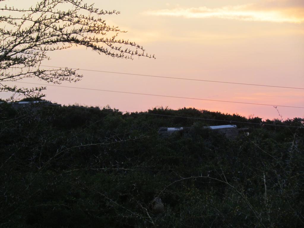 Addo Dung Beetle Guest Farm Villa Exterior photo