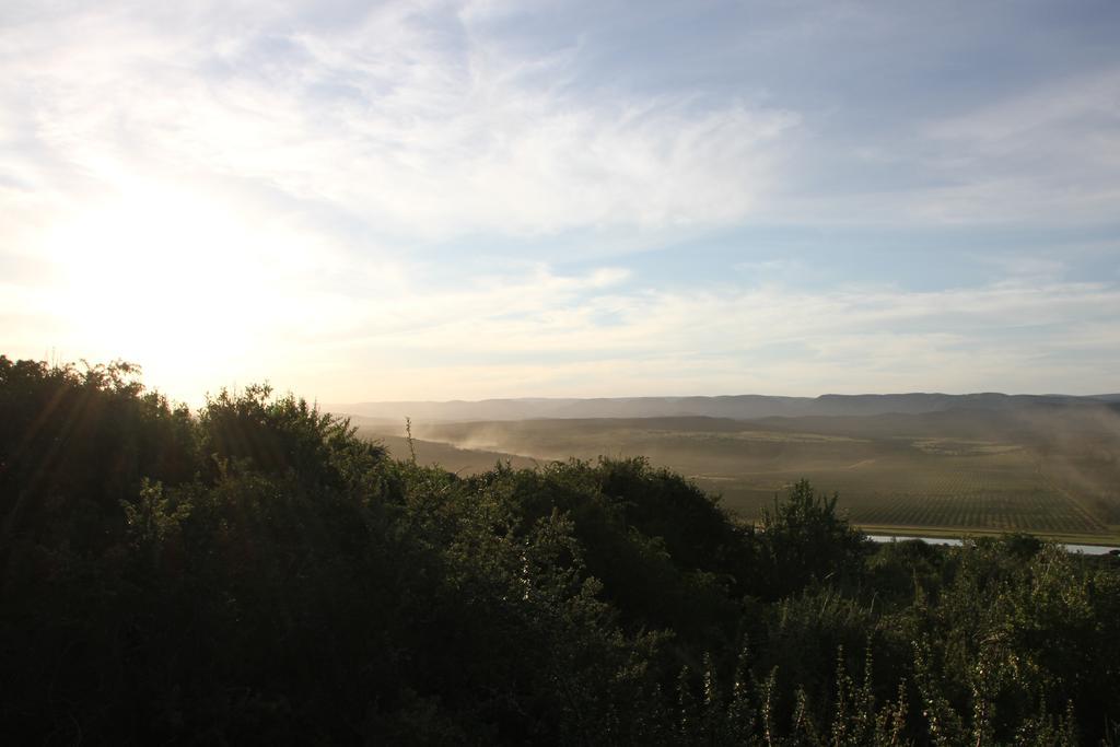 Addo Dung Beetle Guest Farm Villa Exterior photo