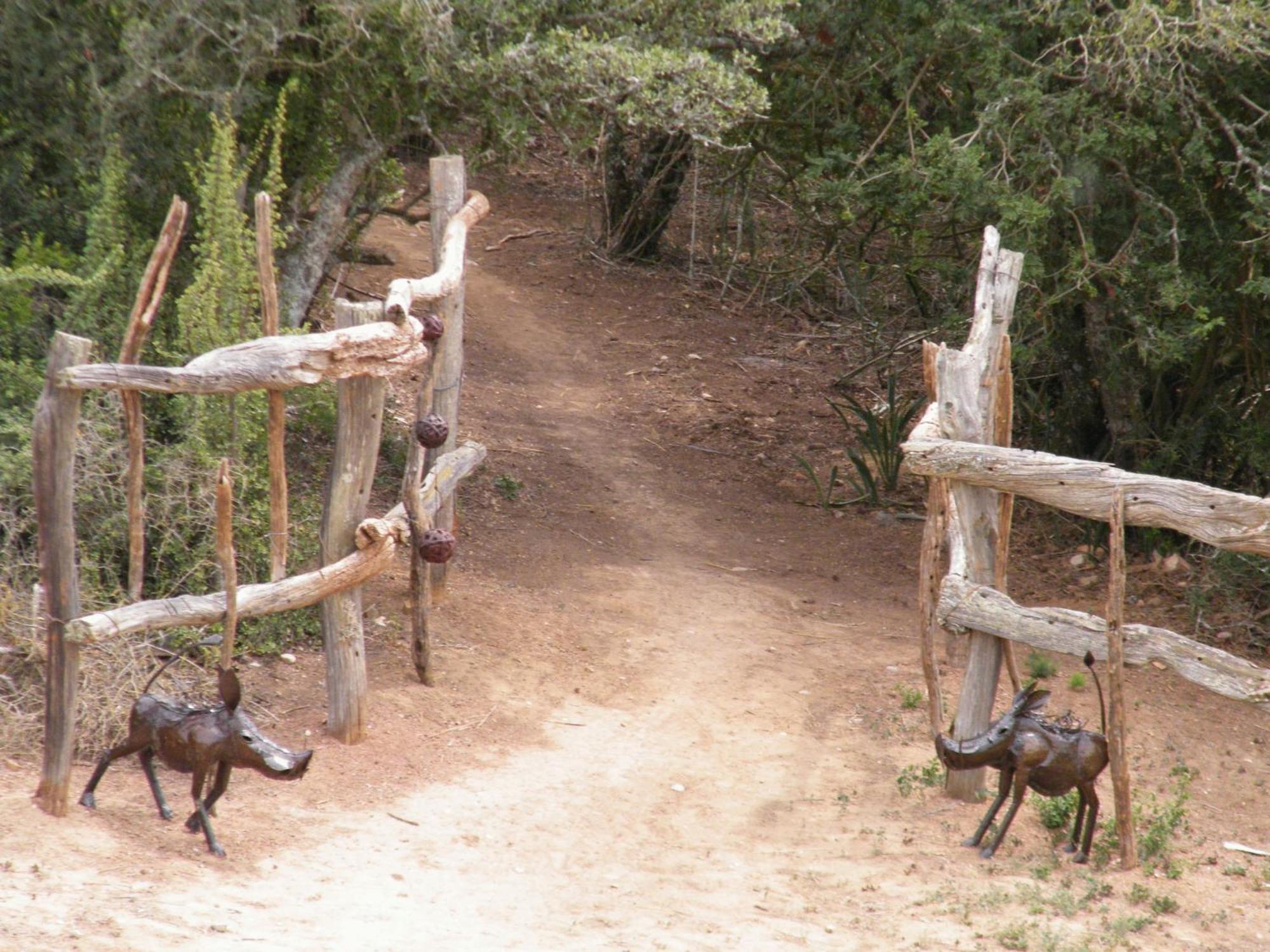 Addo Dung Beetle Guest Farm Villa Exterior photo