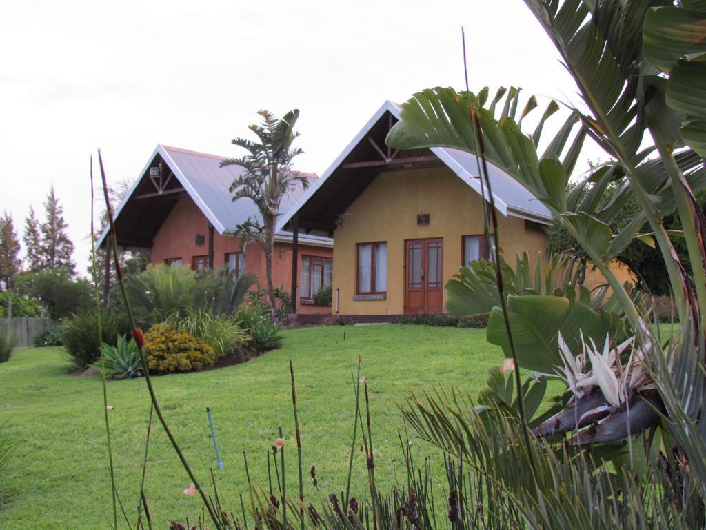 Addo Dung Beetle Guest Farm Villa Room photo