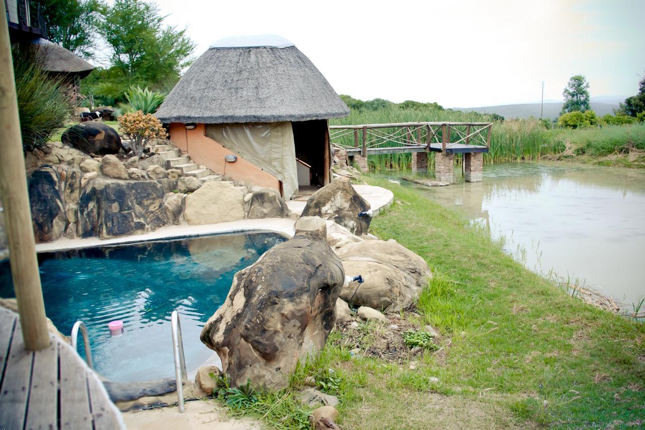 Addo Dung Beetle Guest Farm Villa Exterior photo