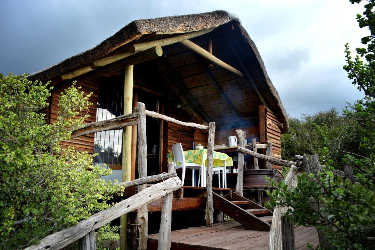 Addo Dung Beetle Guest Farm Villa Exterior photo